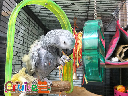 DSCF7665 DSCF7665