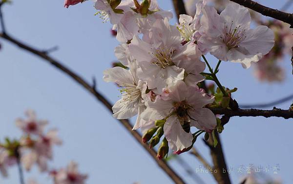 20140315-_DSC0059.jpg 20140315-_DSC0059.jpg