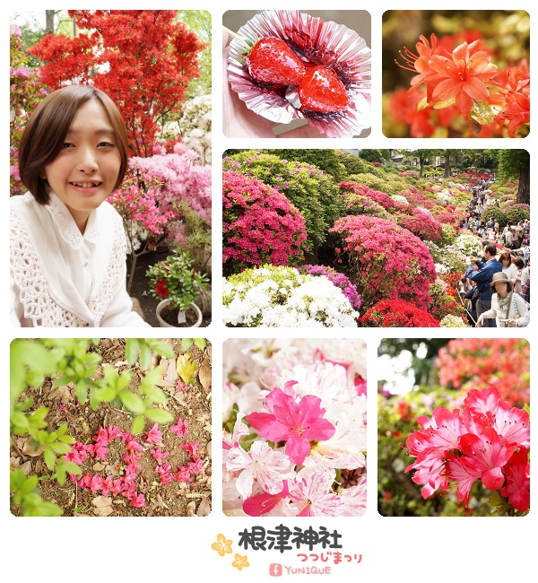 a01.jpg a01.jpg