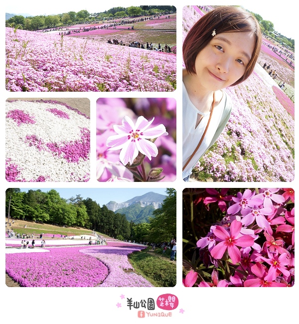 a01.jpg a01.jpg