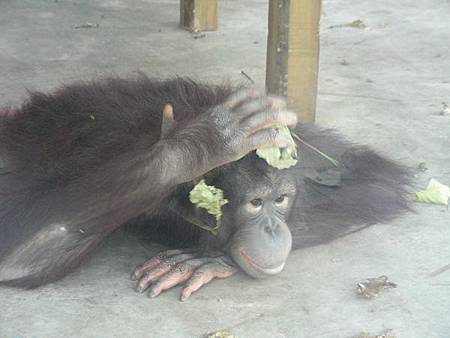 DSCN7956=ok.JPG DSCN7956=ok.JPG