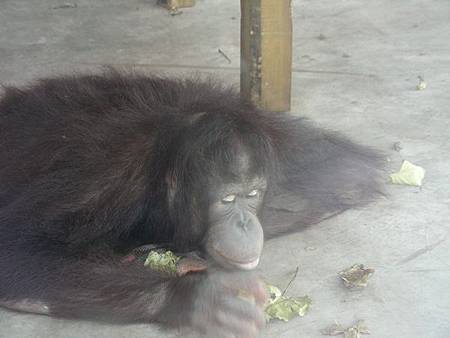 DSCN7958=ok.JPG DSCN7958=ok.JPG