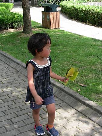 DSCN7963=ok.JPG DSCN7963=ok.JPG