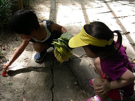 DSCN7970=ok.JPG DSCN7970=ok.JPG