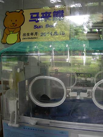 DSCN7980=ok.JPG DSCN7980=ok.JPG