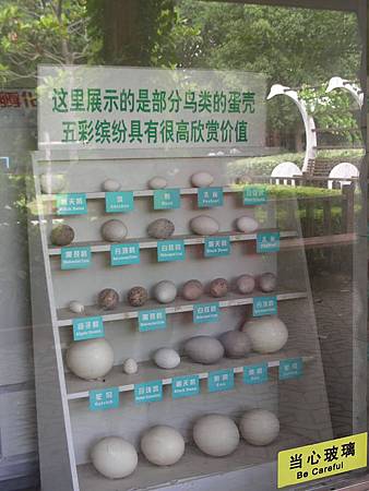 DSCN7985=ok.JPG DSCN7985=ok.JPG