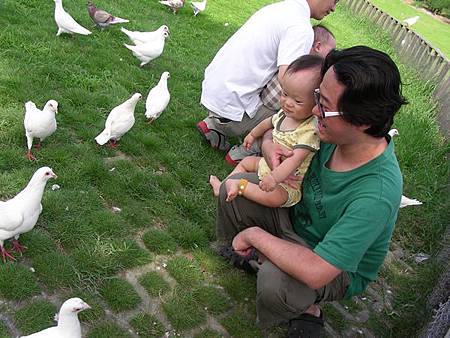 DSCN8004=ok.JPG DSCN8004=ok.JPG