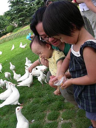 DSCN8007=ok.JPG DSCN8007=ok.JPG