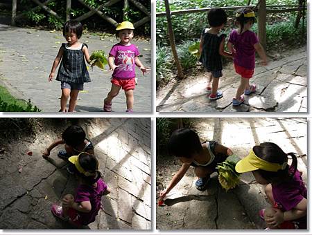 DSCN7960-tile.jpg DSCN7960-tile.jpg