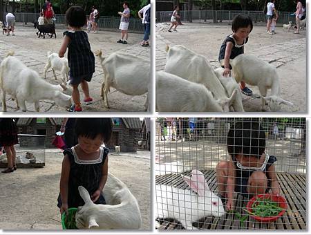 DSCN7971-tile.jpg DSCN7971-tile.jpg