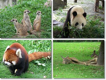 DSCN7995-tile.jpg DSCN7995-tile.jpg