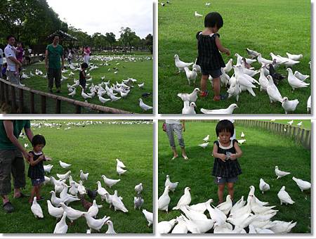 DSCN8001-tile.jpg DSCN8001-tile.jpg