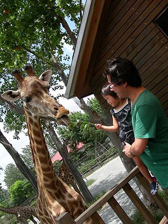 DSCN7928=ok.JPG DSCN7928=ok.JPG