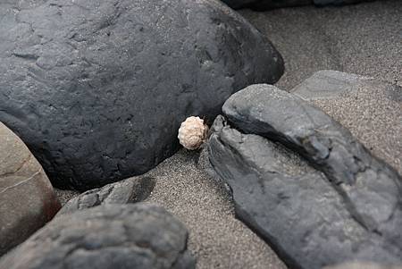 DPP_0767 DPP_0767