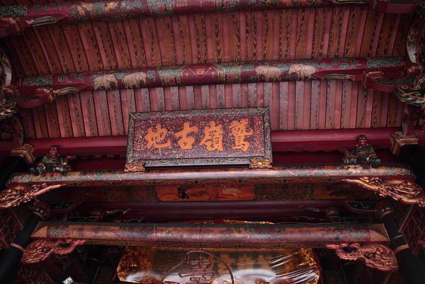 IMG_7071 IMG_7071