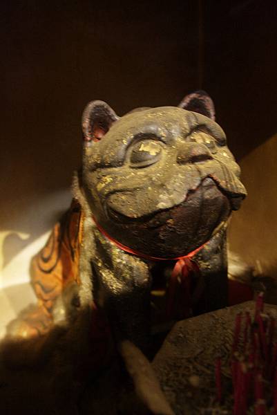 IMG_7249 IMG_7249