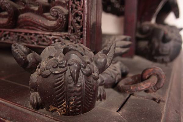 IMG_7175 IMG_7175