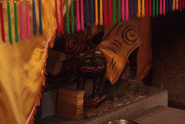 IMG_7219 IMG_7219