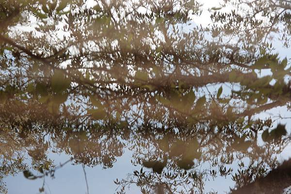 IMG_9117 IMG_9117