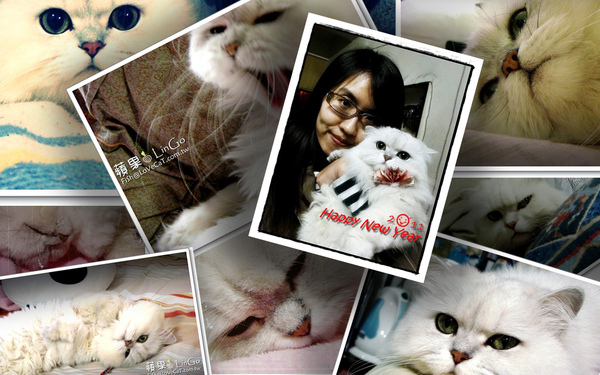 2011Happy new Year.jpg