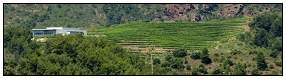 Torres Priorat.jpg Torres Priorat.jpg