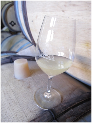 Chablis D7 3.jpg Chablis D7 3.jpg