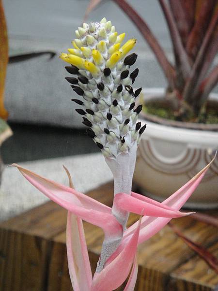 DSC09858.JPG DSC09858.JPG