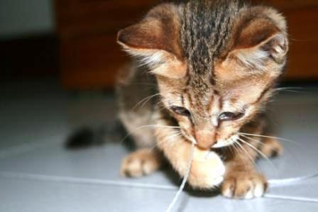 媽寶7號 媽寶7號