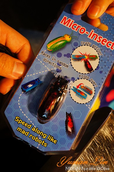 DSC02006.jpg DSC02006.jpg