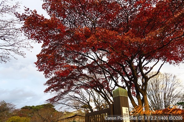 北海道1126.jpg 北海道1126.jpg