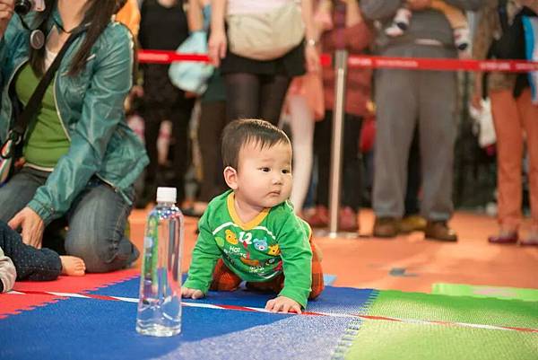 IMG_19823603753756 IMG_19823603753756