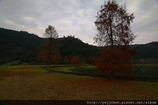 IMG_0182-1 IMG_0182-1