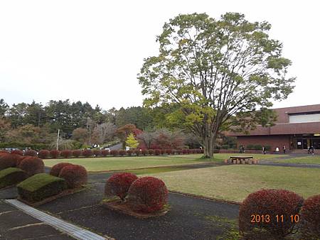 2013.11 (23).JPG 2013.11 (23).JPG