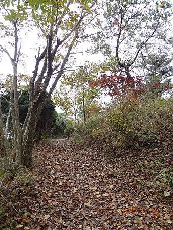 2013.11 (76).JPG 2013.11 (76).JPG