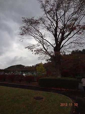 2013.11 (83).JPG 2013.11 (83).JPG
