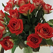 20110807 七夕情人節 005.JPG