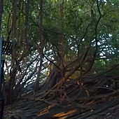 IMAG6747.jpg IMAG6747.jpg