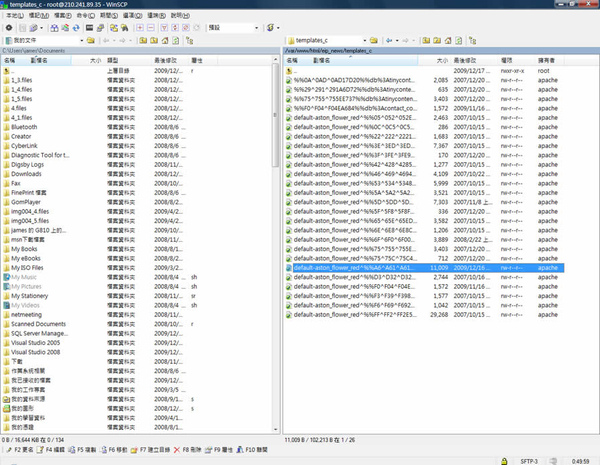 Xoops 實際套用的佈景檔