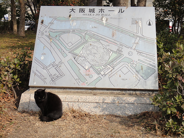 大阪城公園11.JPG