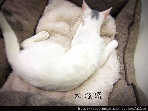 DSCF0456.JPG DSCF0456.JPG