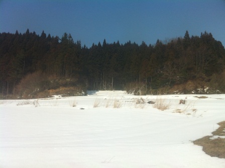 1330330703-1004218376 Tsuruoka-往鶴岡的路上 雪景美不勝收