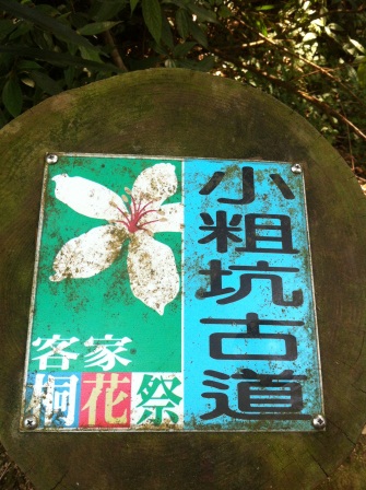 1336794501-3339878635 龍潭-小粗坑賞油桐花