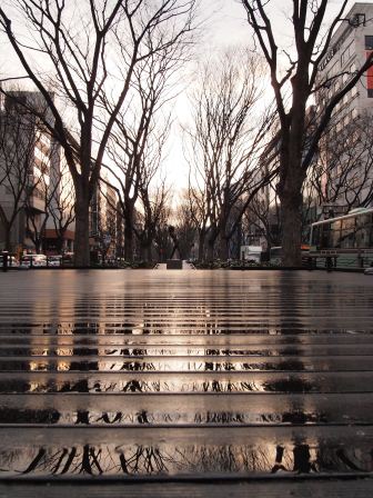 1340426257-3118115320 Sendai-定禪寺通 短暫卻讓人屏息的美景(2012東北秘湯追櫻之旅Day4-3)