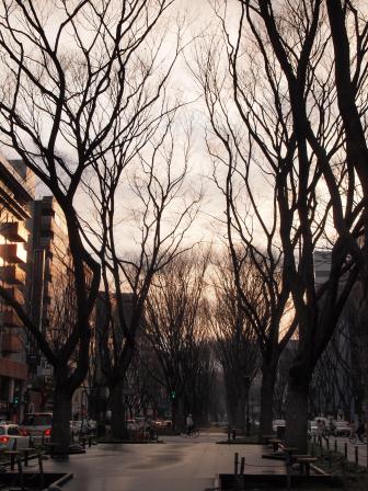 1340426259-716474715 Sendai-定禪寺通 短暫卻讓人屏息的美景(2012東北秘湯追櫻之旅Day4-3)