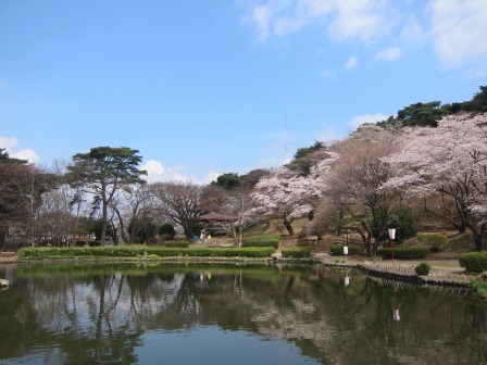 1341912090-2092531555 Nishisnasuno-烏之森公園之終於有櫻花了(2012東北秘湯追櫻之旅Day5-1)