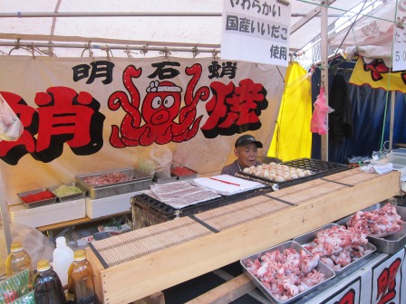 1341912555-365165988 Nishisnasuno-烏之森公園之終於有櫻花了(2012東北秘湯追櫻之旅Day5-1)