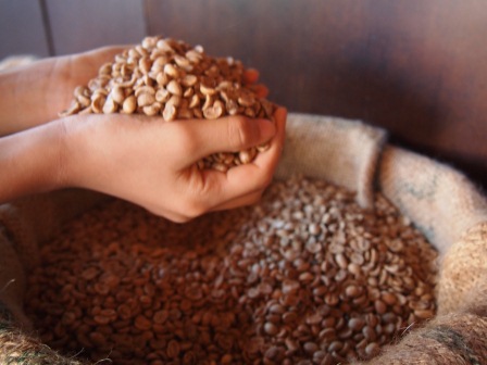 1351939810-801331281 中壢-突點咖啡館 與貓為伍去