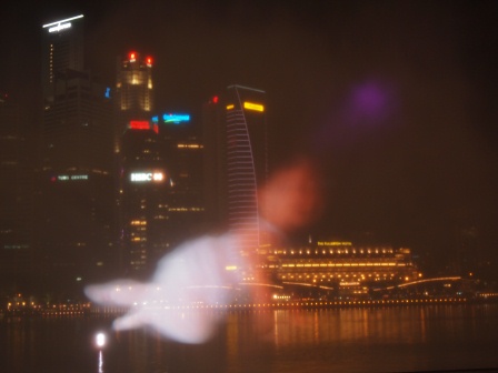 1353586088-1371070906 Singapore-Marina Bay Sands金沙雷射燈光音樂水舞秀 一整個驚喜滿滿的Wonder Full