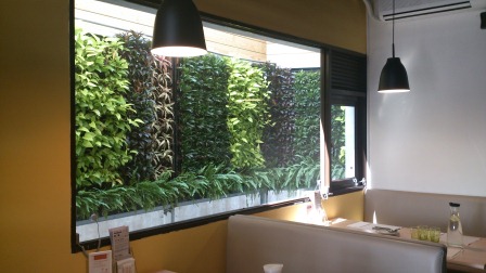 1353670748-2176561827 頭份-和煦陽光下的費麗絲Felice義大利麵