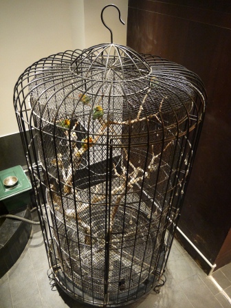 1358049375-2652700476 Shanghai-壹江南 創意料理